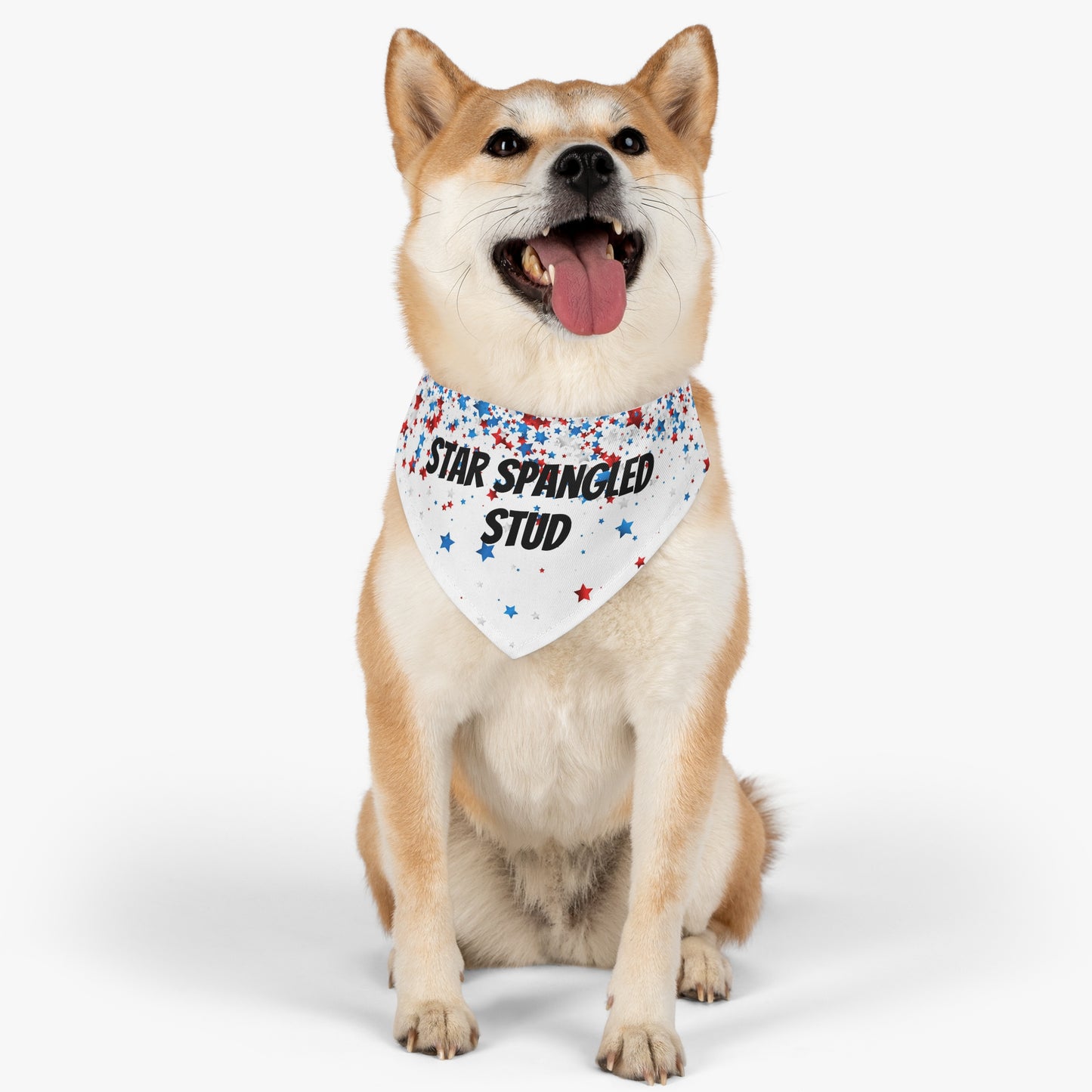 Fourth of July Pet Bandana Collar