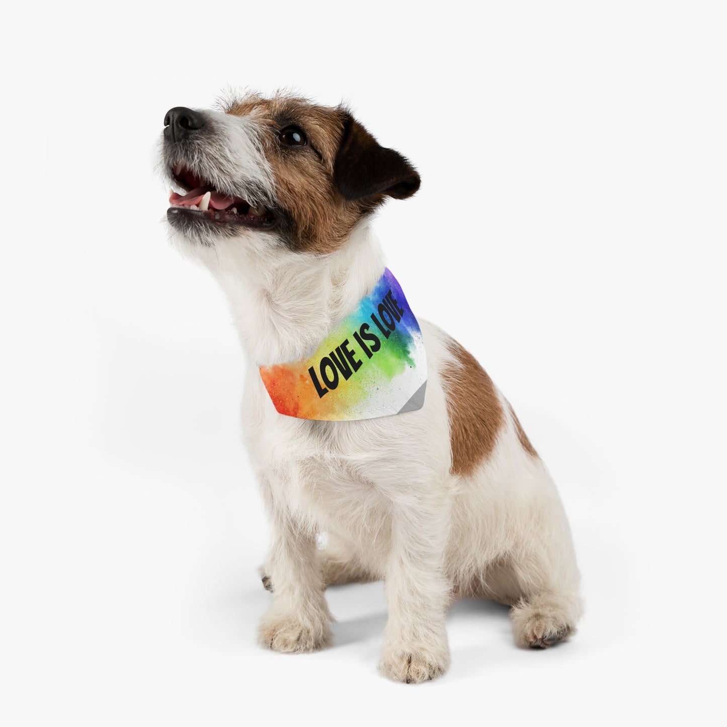 Love is Love Bandana Collar