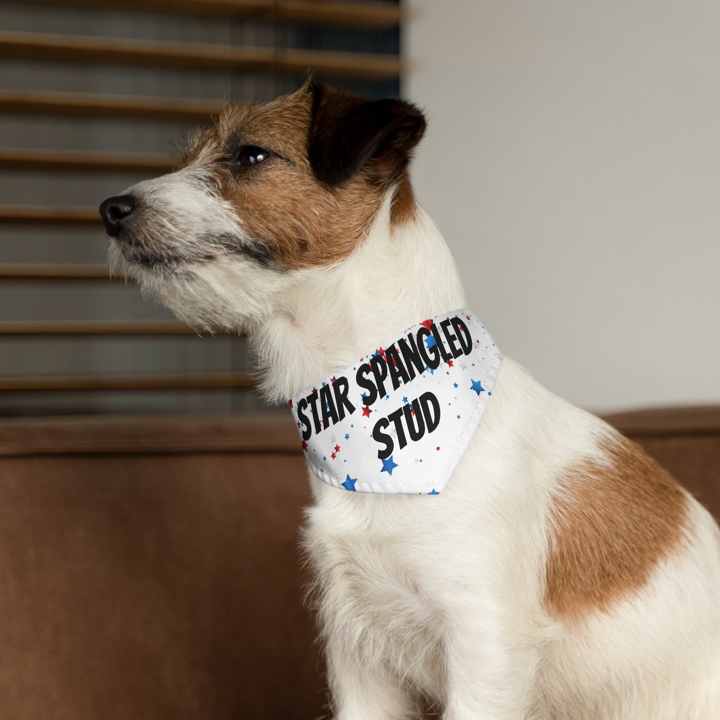 Fourth of July Pet Bandana Collar