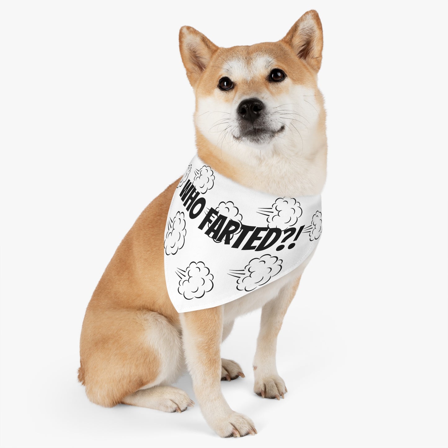 Fart Bandana Collar