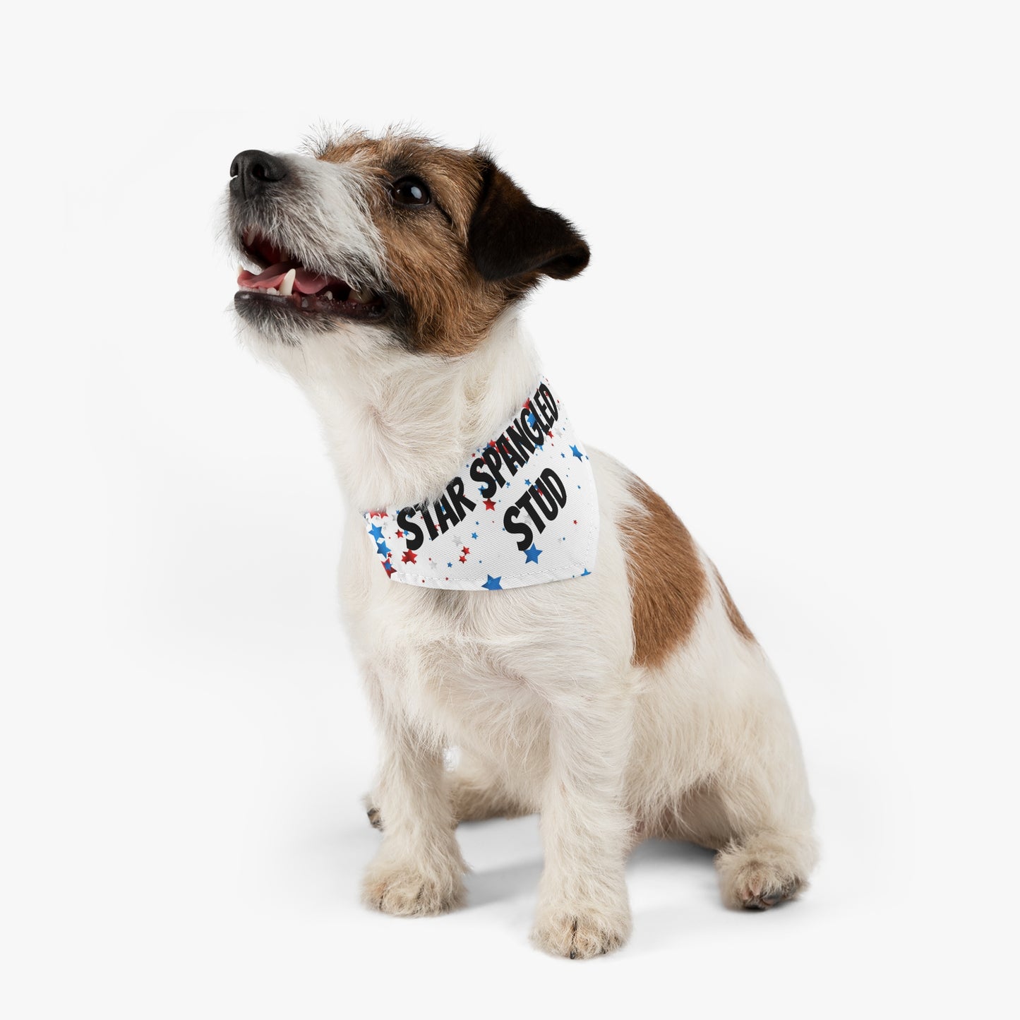 Fourth of July Pet Bandana Collar