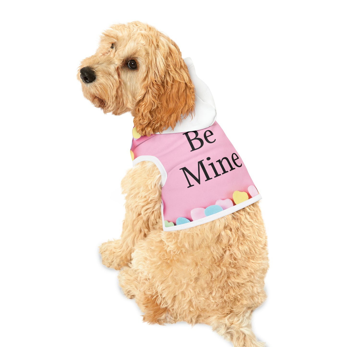 Be Mine Pet Hoodie