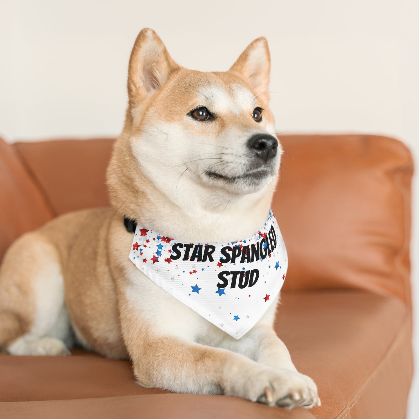 Fourth of July Pet Bandana Collar