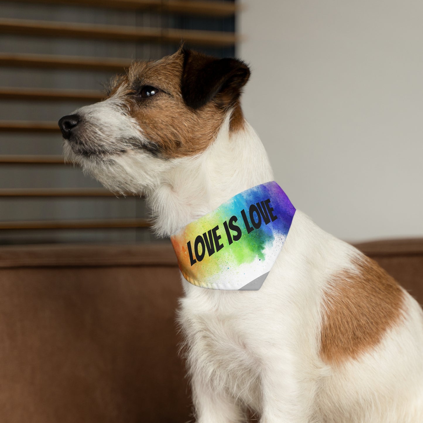 Love is Love Bandana Collar