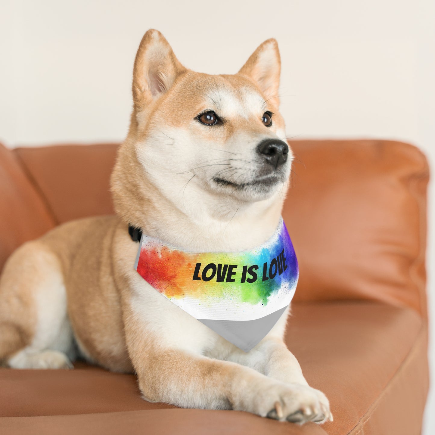 Love is Love Bandana Collar