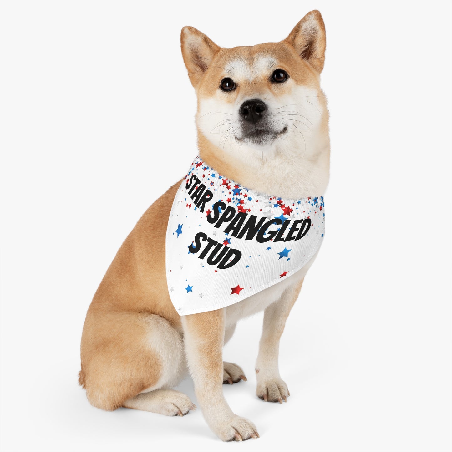 Fourth of July Pet Bandana Collar